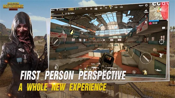 pubgԷ