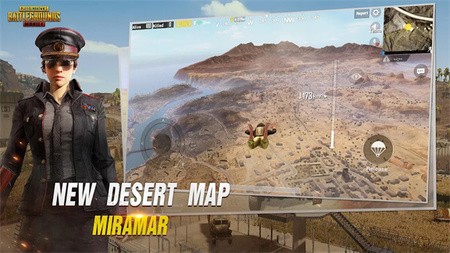 pubgֻʷ
