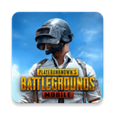 pubgʷ