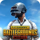 pubgʷص