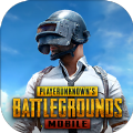 pubgmobileʷ