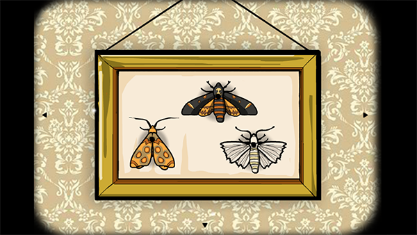 ù