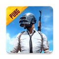 pubgʷ