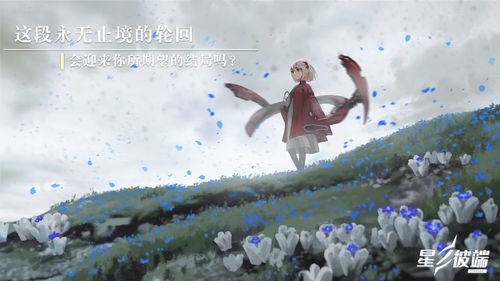 ֮˶˹ (3)