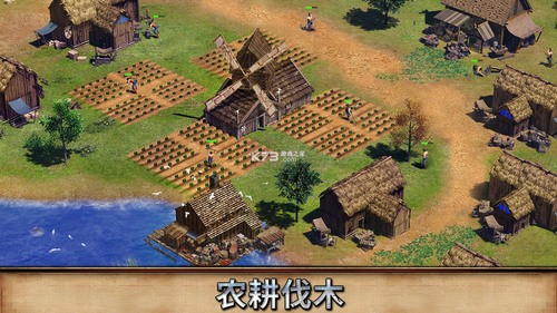 ̩ʯ
