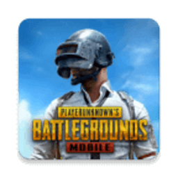 ʷpubg°