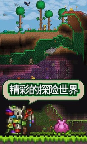 ̩Ǻ