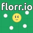 florrioĹ