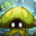 굺زʵ֤