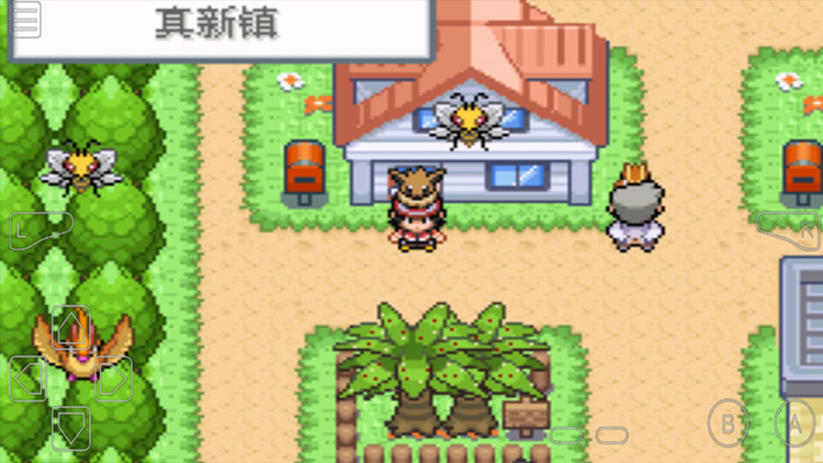 口袋妖怪去吧伊布自带修改器版