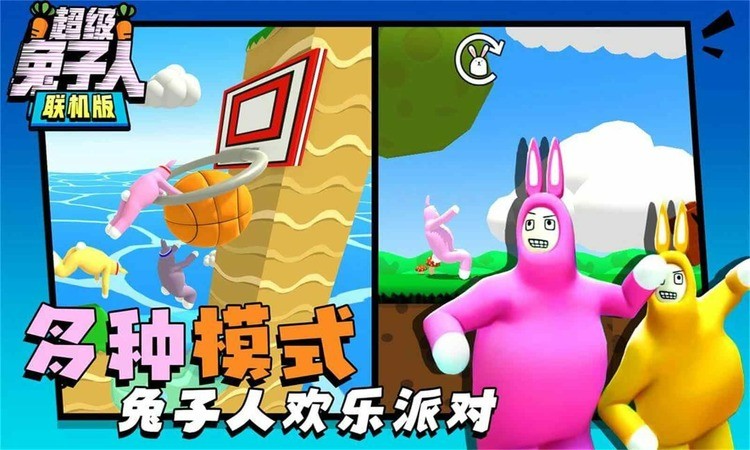 ˫