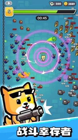 ӵӢذװ