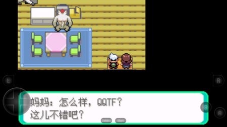 ڴֳ̱ʯ޸汾