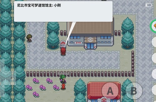 pokemmorom