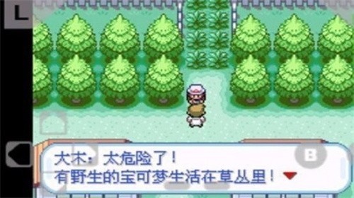 ڴֻ캺