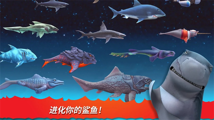 ʷ޽ʯ