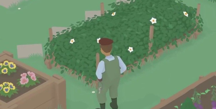 ģ޹