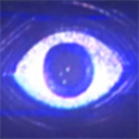 poppyֻ