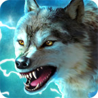 Thewolf°汾