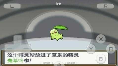 ڴֽ꺺
