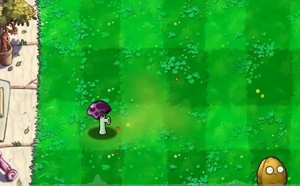 pvzС֮رң