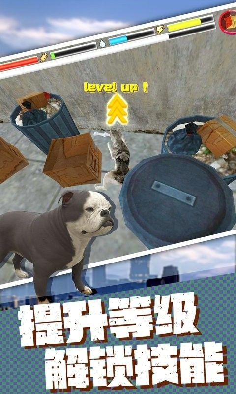 ˹ģ޽