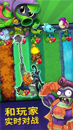 pvzӢʯ