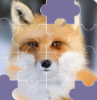 һƴͼ°
