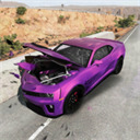 rccʵģ°汾
