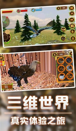 ӥģ3DϷ