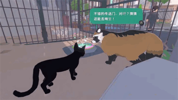 小猫咪大城市免费版1