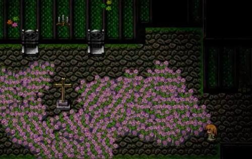 七色堇的遗孤游戏